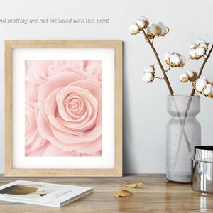 May include: A close-up photograph of a single pink rose with a soft, blurred background. The rose is in focus and the petals are delicate and soft.