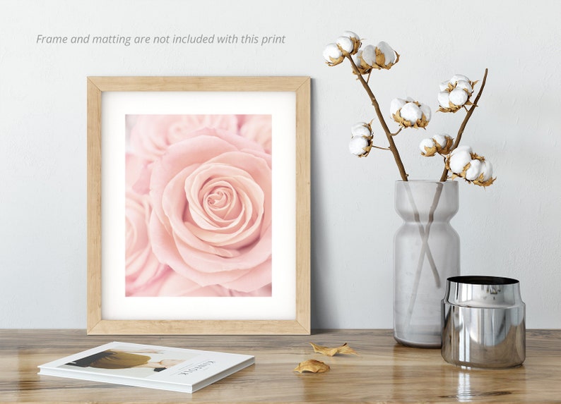 May include: A close-up photograph of a single pink rose with a soft, blurred background. The rose is in focus and the petals are delicate and soft.