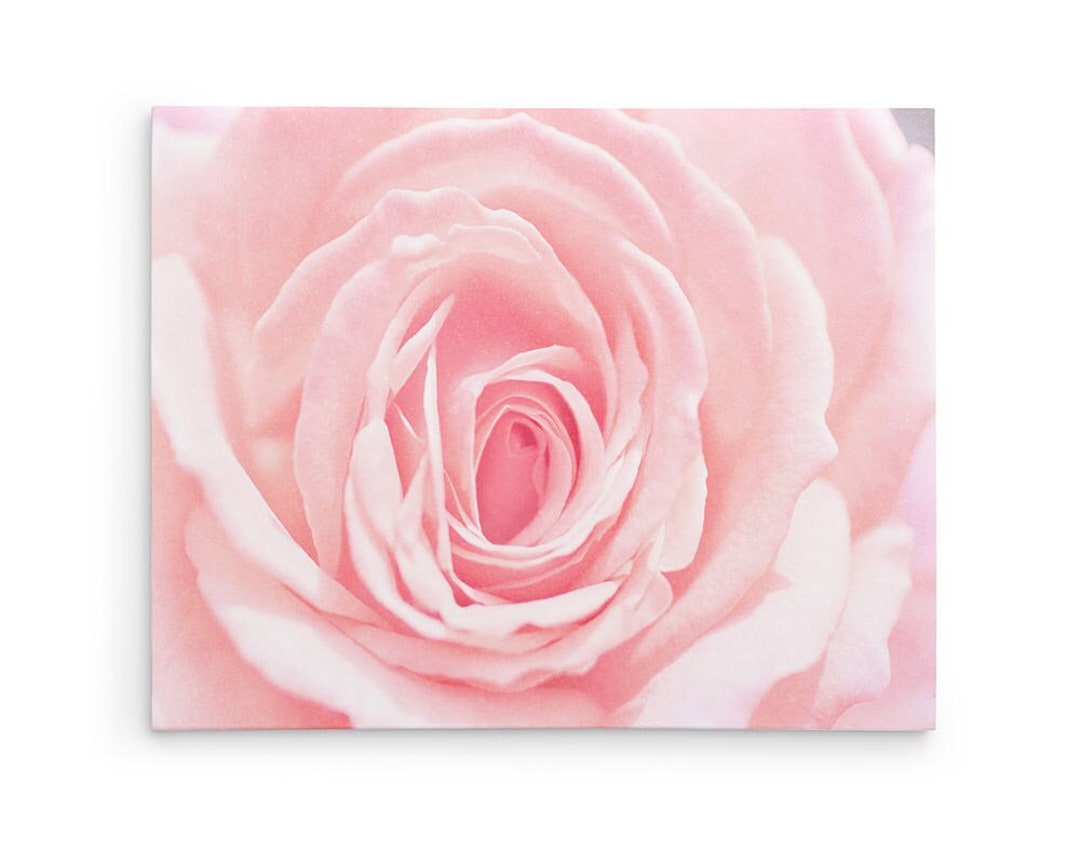 Pink Rose Wall Art - Botanical Print - Shabby Chic Decor - Large Canvas ...