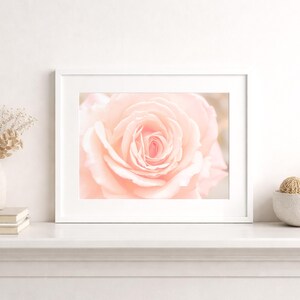 Pink Wall Decor, Shabby Chic Wall Art, Pink Kitchen Art, Nature Photography, Pink Flower Prints, Floral Print, Soft Pink Decor, Bedroom art Framed (White) + Matting