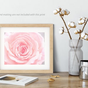 Pu&ograve; includere: Una fotografia ravvicinata di una rosa rosa tenue con uno sfondo sfocato. La rosa &egrave; a fuoco e i petali sono delicati e morbidi.