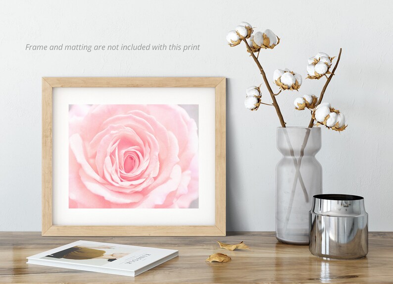 Pu&ograve; includere: Una fotografia ravvicinata di una rosa rosa tenue con uno sfondo sfocato. La rosa &egrave; a fuoco e i petali sono delicati e morbidi.