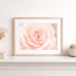 Pink Wall Decor, Shabby Chic Wall Art, Pink Kitchen Art, Nature Photography, Pink Flower Prints, Floral Print, Soft Pink Decor, Bedroom art Framed (Natural) + Matting