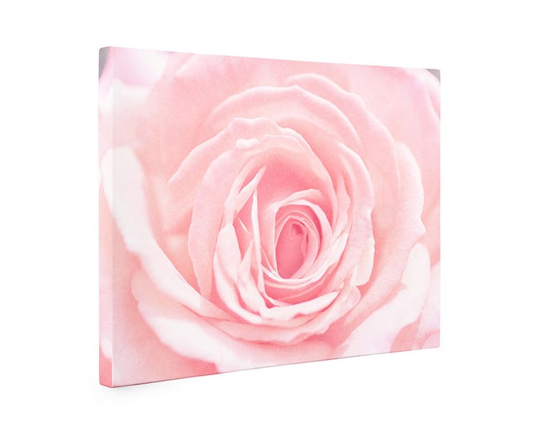 Pink Rose Wall Art - Botanical Print - Shabby Chic Decor - Large Canvas ...