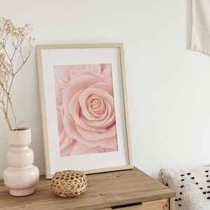 May include: A framed print of a close-up of a pink rose.
