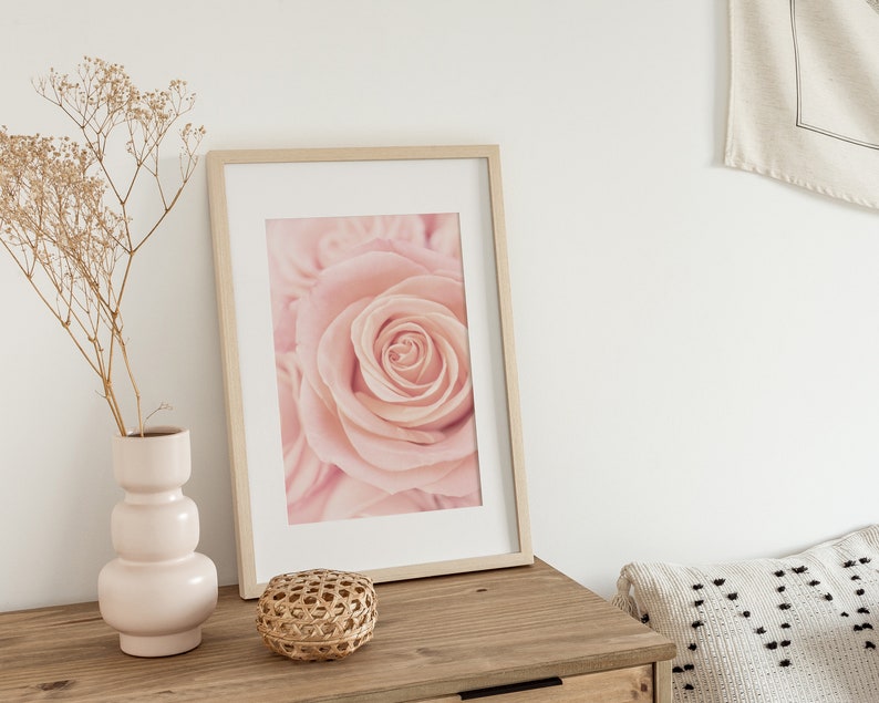 May include: A framed print of a close-up of a pink rose.