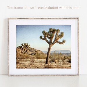 Set of 4 Prints - Joshua Tree Wall Art - California Photography - Southwestern Prints - Desert Wall Decor - Landscape Photographs image 4