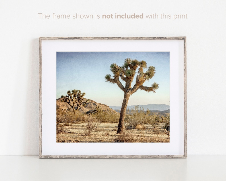 Set of 4 Prints - Joshua Tree Wall Art - California Photography - Southwestern Prints - Desert Wall Decor - Landscape Photographs image 4