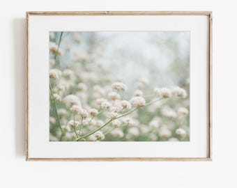 Dreamy White Decor, Floral Wall Decor, Nature Photography, Photographic Print, White Wall Art, Shabby Chic Decor, Shabby Chic Wall Art