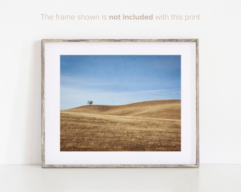 Print of a lone tree on a hill in Santa Ynez Valley