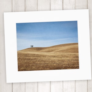 California Landscape Photography, Santa Ynez Valley, Golden Brown Wall Art, Minimalist landscape Art, Central Coast Prints Matted Print