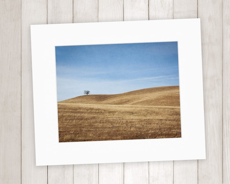 California Landscape Photography, Santa Ynez Valley, Golden Brown Wall Art, Minimalist landscape Art, Central Coast Prints Matted Print