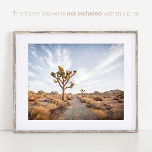 Set of 4 Prints - Joshua Tree Wall Art - California Photography - Southwestern Prints - Desert Wall Decor - Landscape Photographs image 2