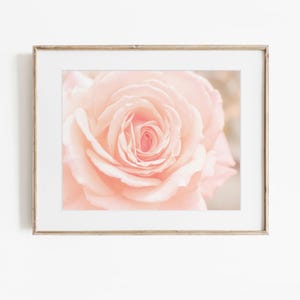May include: A framed wall art piece featuring a soft-focus, close-up photograph of a pale pink rose in full bloom. The rose petals are layered and delicate, displaying various shades of light blush and cream, encased in a light wood frame.