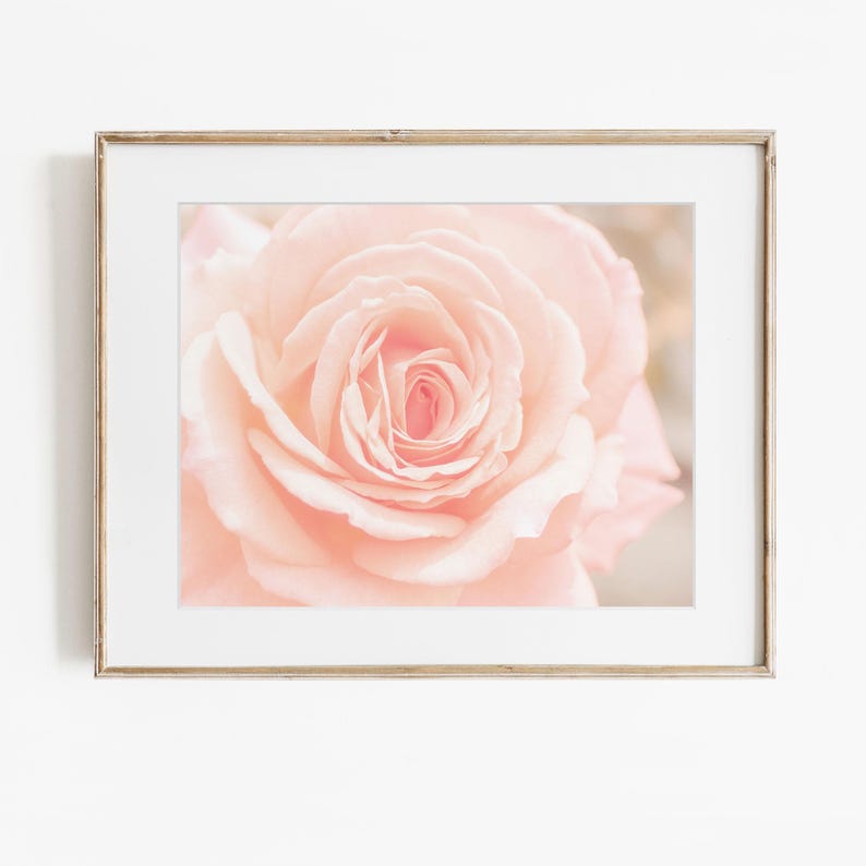 May include: A framed wall art piece featuring a soft-focus, close-up photograph of a pale pink rose in full bloom. The rose petals are layered and delicate, displaying various shades of light blush and cream, encased in a light wood frame.