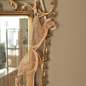 May include: A sheer, peach-colored bra with lace trim hangs from a gold-framed mirror. The mirror has ornate, scroll-like details. The bra is suspended by its straps, showcasing its delicate design and construction. The background is a neutral, solid color.