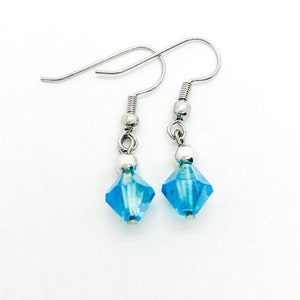 Aqua Earrings image 1