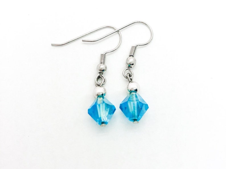 Aqua Earrings image 1