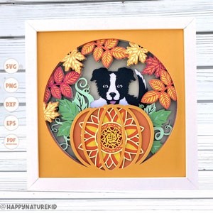 May include: A black and white border collie puppy peeking out of a layered papercraft pumpkin with fall leaves. The pumpkin is decorated with a mandala design in orange, yellow, and red.
