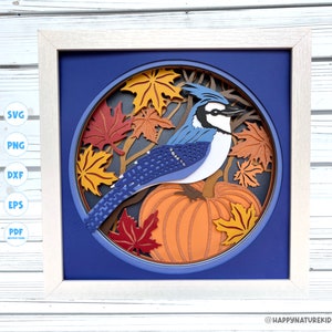 May include: A blue jay bird perched on a pumpkin with fall leaves in a blue and white frame. The bird has a blue head and wings with white markings. The pumpkin is orange and has a green stem. The leaves are red, orange, and yellow.