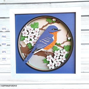 3D Bluebird Schatten Box svg, 3d geschichtet svg, 3d svg, SVG-Dateien für Cricut, Missouri State Bird svg, Missouri State Flower svg, Cardstock svg