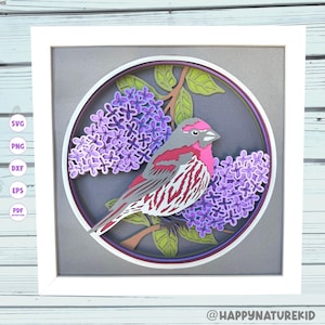 Lila Finch Schattenbox svg, Vogel Schattenbox svg, New Hampshire State Vogel svg, New Hampshire State Blumen svg, Cricut-Projekte, 3d svg