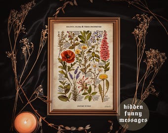 以下が含まれることがあります： 「Helpful Flora & Their Properties」と題された額入りの植物画。赤いポピー、ラベンダー、ピンクのジギタリスなど、さまざまな植物の詳細なイラストが描かれています。 金色のフレームに入っており、右下には「hidden funny messages」の文字があります。