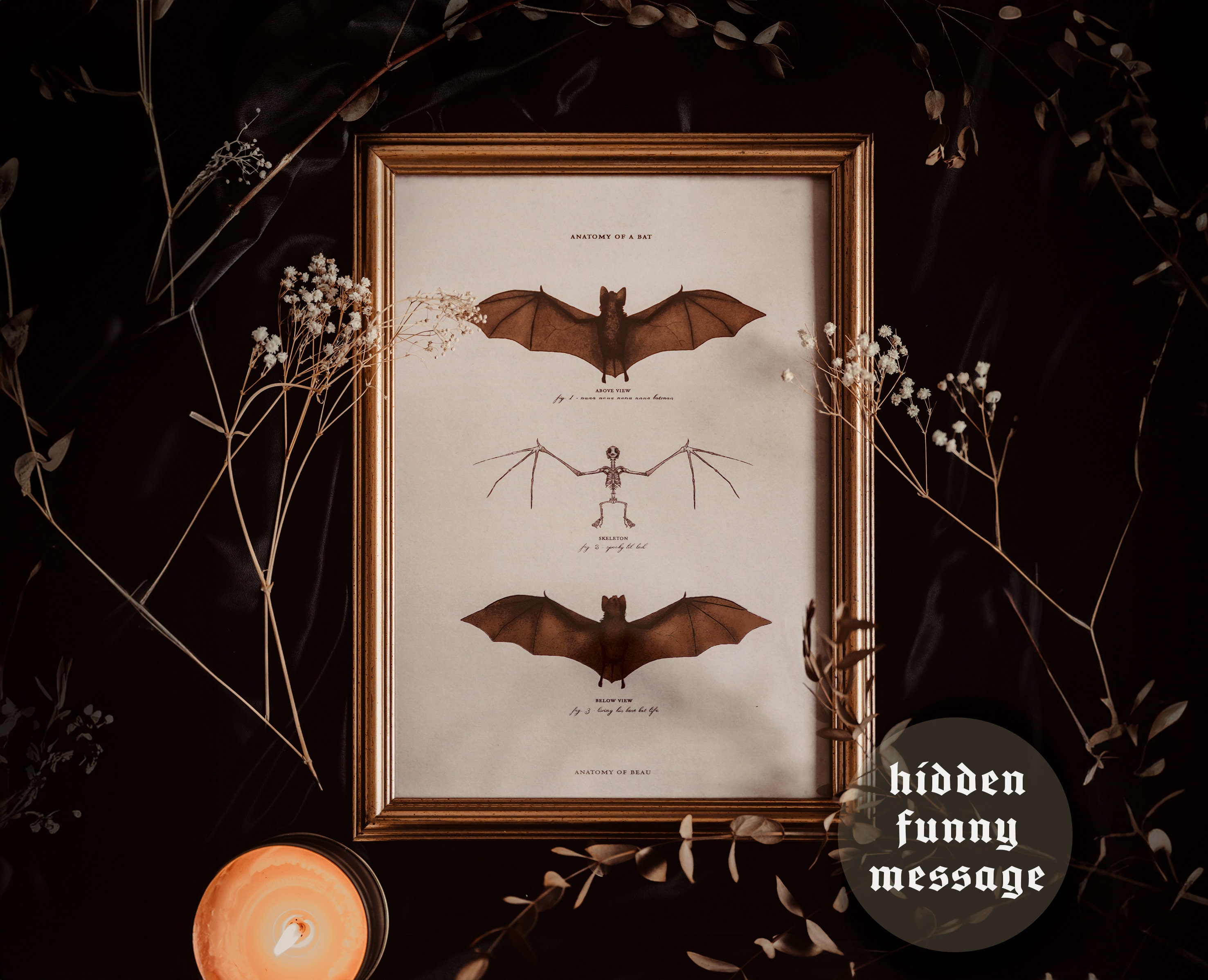 Bat Anatomy - A4 Print | Includes Funny Hidden Message - Dark Academia, Cottagecore, Vintage, Witchy Aesthetic, Quirky, Bookish Art Poster