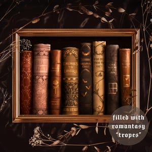 Romantasy Bücherregal - A4 Druck | Dark Academia, Cottagecore, Fantasy, Vintage, Witchy ästhetik, Kunst Poster