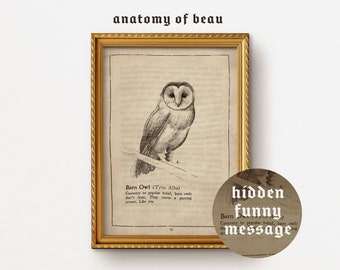 Barn Owl - "Vintage" A4 Print | Includes Funny Hidden Message