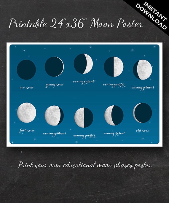 Moon Phases Poster - Printable Poster of the Phases of the Moon Instant Download - 24