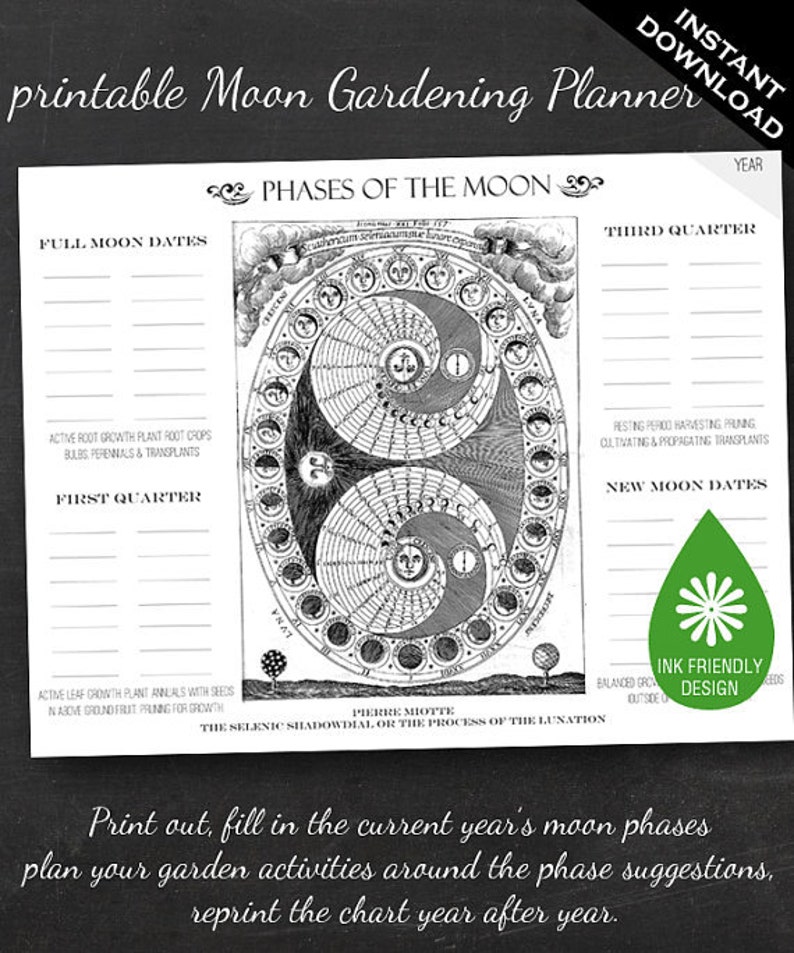 Moon Phase Gardening Chart Printable Garden Planner Page for Garden Journals image 1