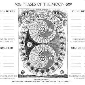 Moon Phase Gardening Chart Printable Garden Planner Page for Garden Journals image 2