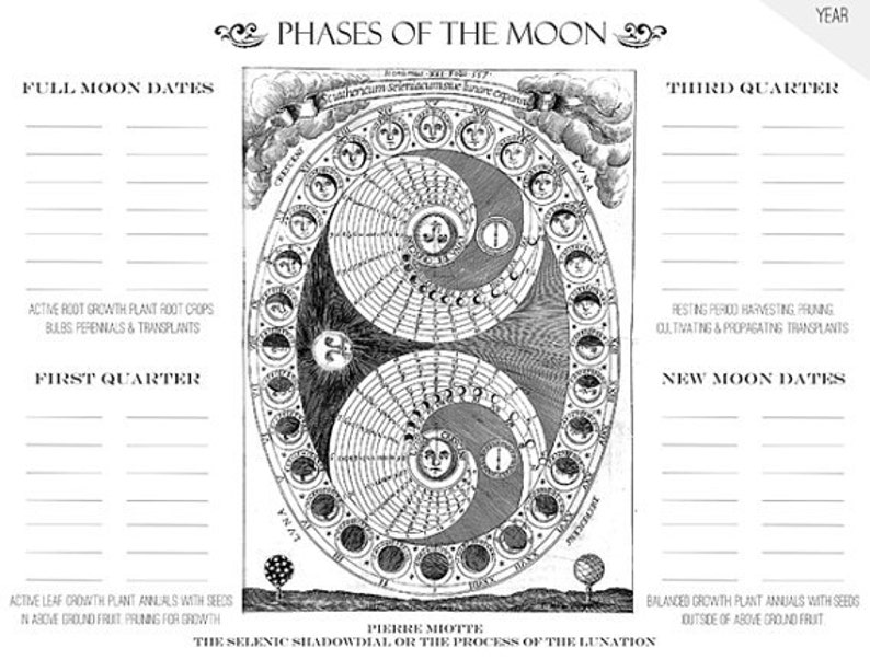 Moon Phase Gardening Chart Printable Garden Planner Page for Garden Journals image 2