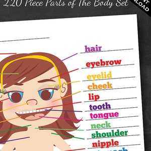 220 Piece Body Part Lessons Set - Anatomy for Kids - Parts of the body worksheets, montessori three part cards, anatomical charts