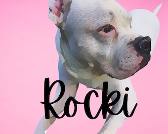 Pintura de mascotas, retrato de perro personalizado, retrato de mascota personalizado, regalo para mascotas, pintura de perro, monumento conmemorativo para mascotas, amante de las mascotas, amante de los perros