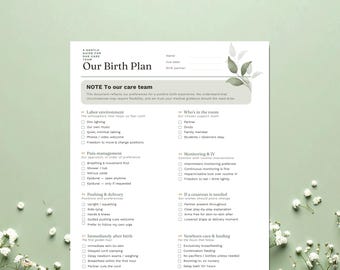 Birth Plan Template, Birth Plan Printable, Editable Birth Preferences Template, Natural Birth Plan, Birth Plan Checklist, Canva Birth Plan