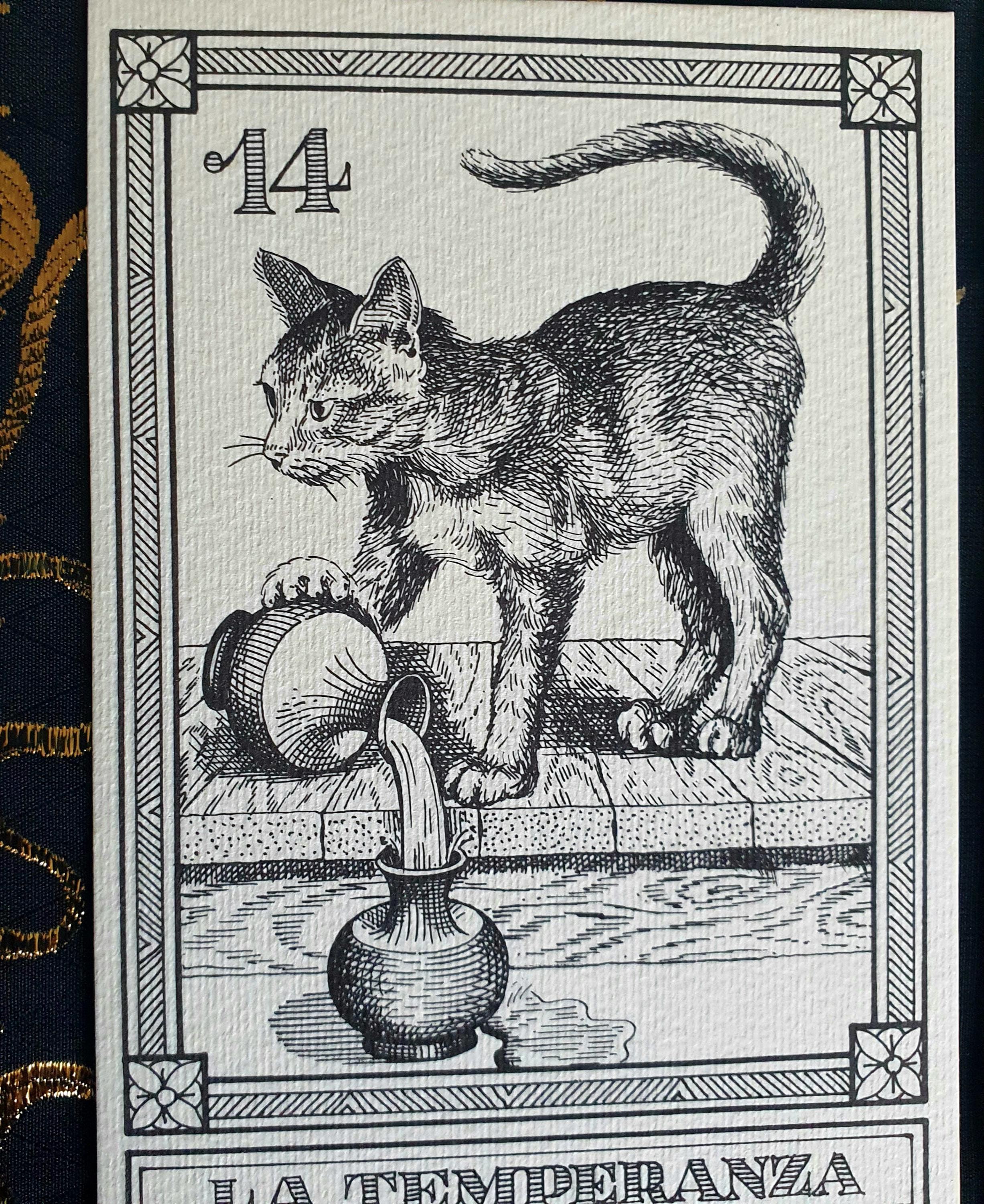 Il Meneghello 製 22枚のキャット・タロット 楽天市場】22のキャット・タロット/ 22 Arcani Gatti(cats tarot