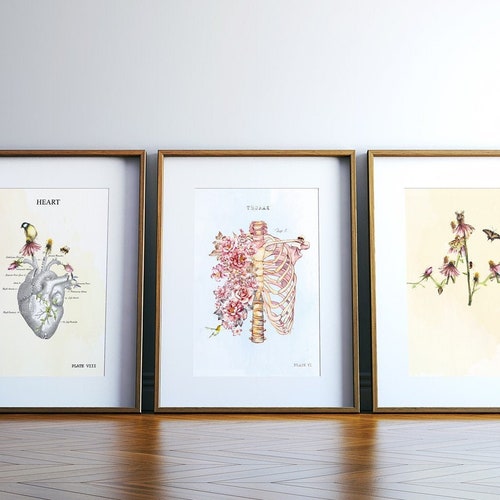 Floral Anatomy Art Gift Set of Three Prints Human Anatomy Etsy