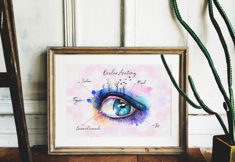 Optometry Gifts for Optometrist Gifts Eye Gift Ideas Optometry Etsy