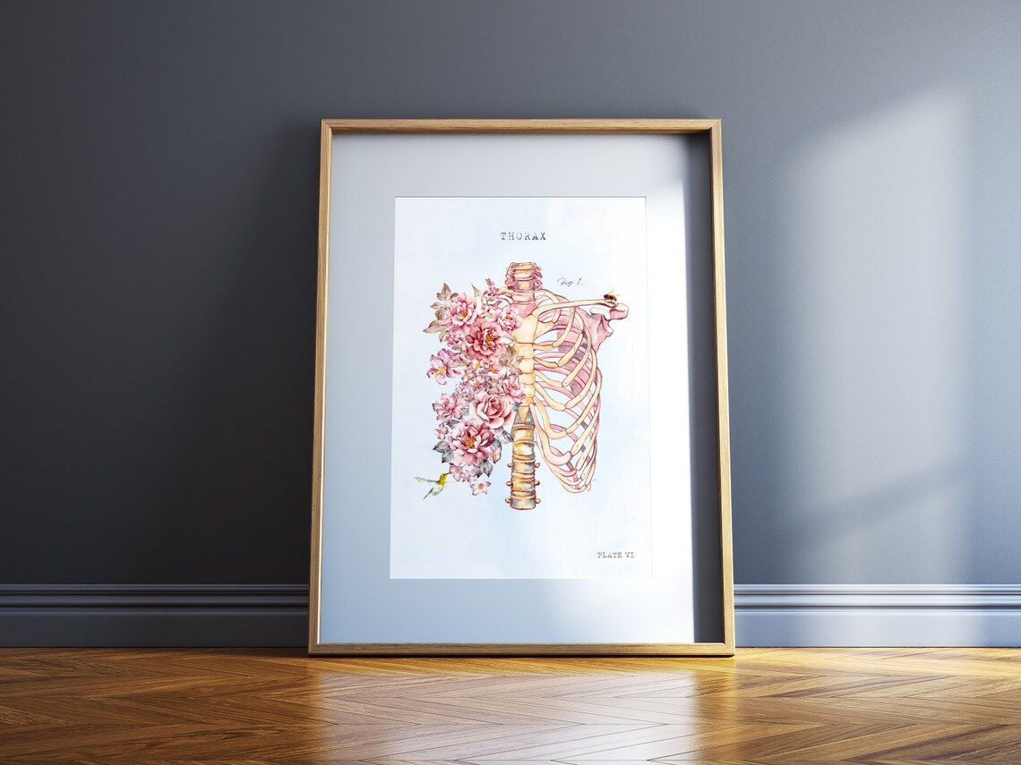 Floral Anatomy Art Gift Set of Three Prints Human Anatomy Etsy