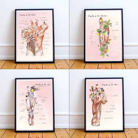 Gift For Massage Therapist Floral Anatomy Massage Room Art Muscular System Posters Massage Therapy Prints For Naturopathic Office Decor