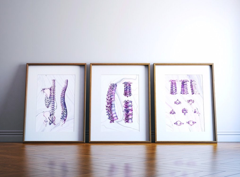 Watercolor Anatomical Prints