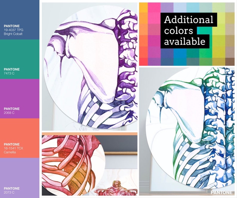 Chiropractic Office Wall Art Chiropractor Gifts Canada Etsy