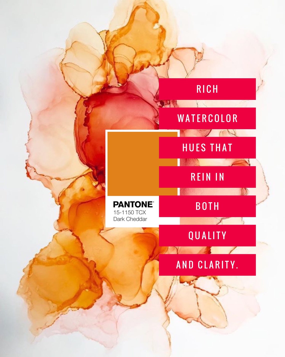 Chiropractic Office Wall Art Chiropractor Gifts Canada Etsy