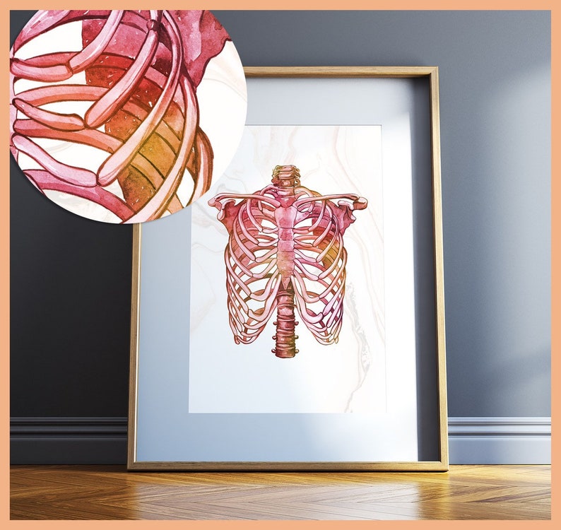 Chiropractic Office Wall Art Chiropractor Gifts Canada | Etsy