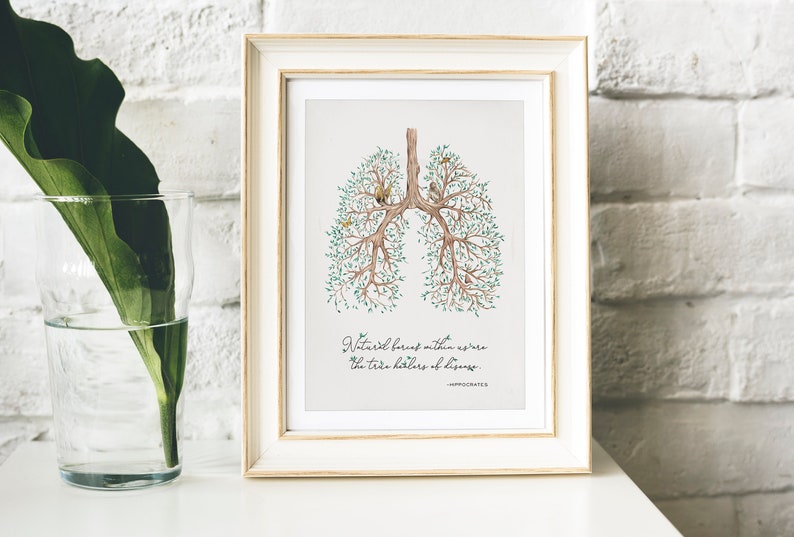Lung transplant gift Hippocrates quote Naturopath Gift Healing | Etsy