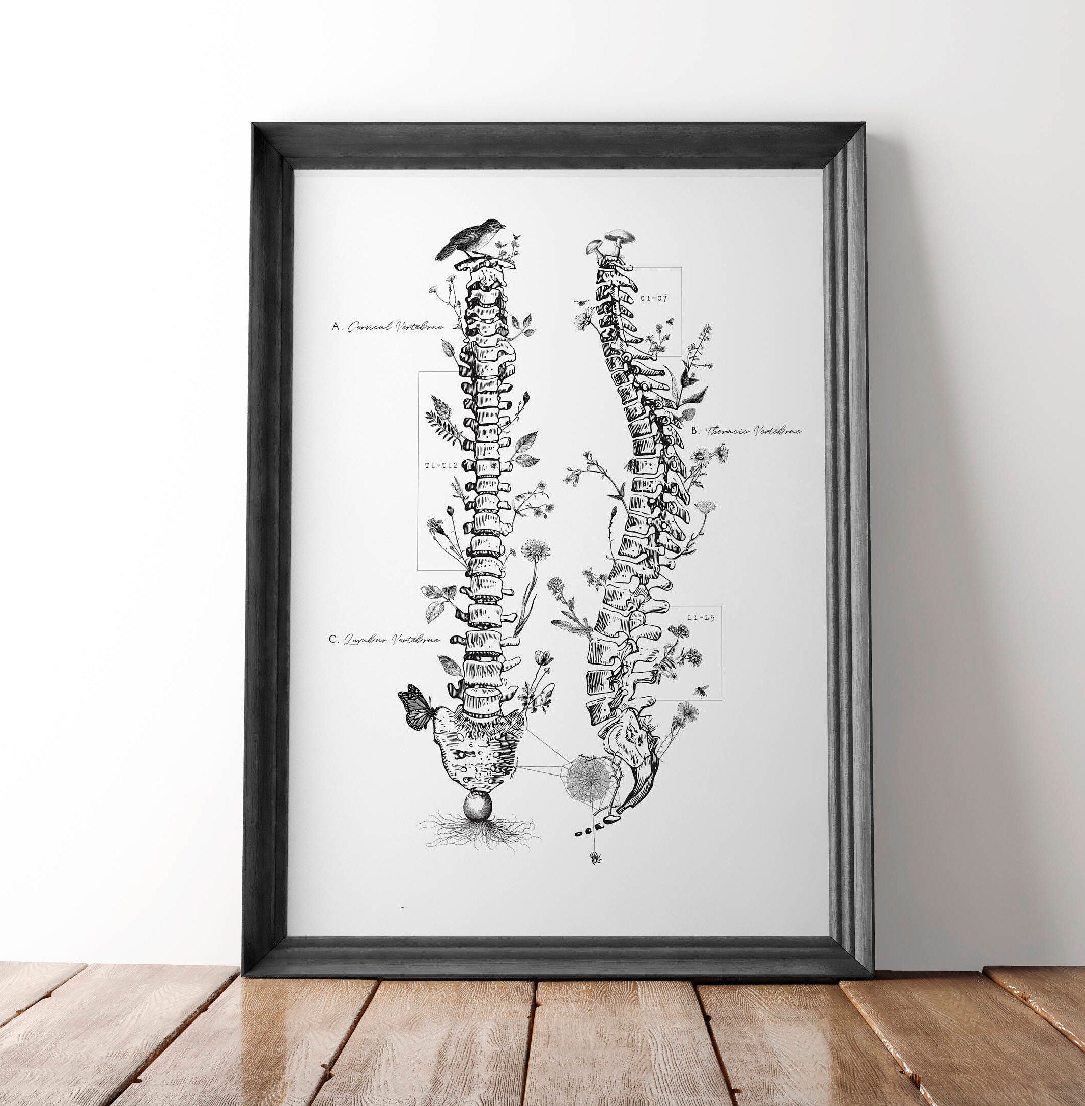Spine Art Chiropractic Gifts for Chiropractor Artwork Etsy UK