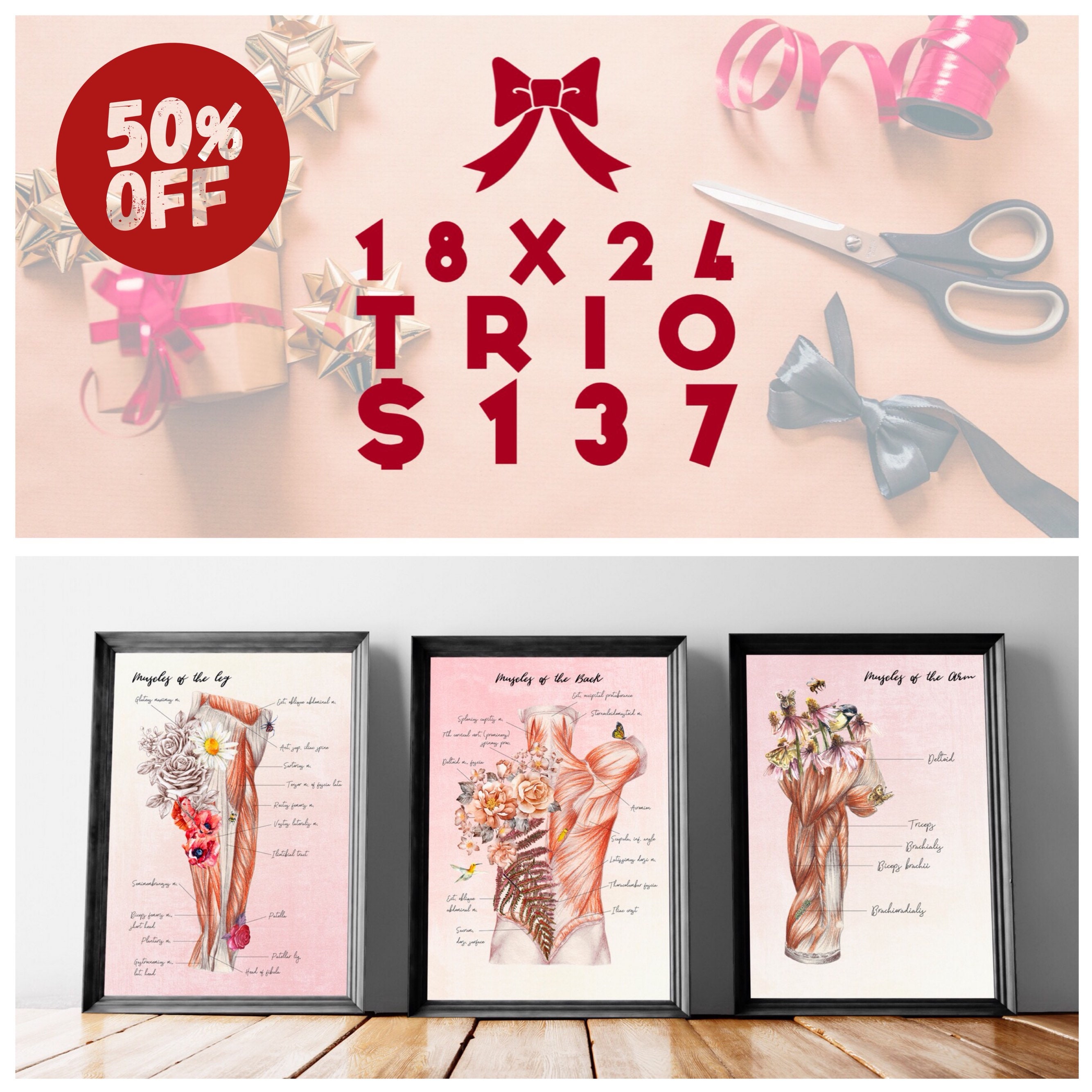 Massage Therapist Gift For Massage Therapist Massage Room Decor Muscular System Anatomy Poster Massage Therapy Art Prints