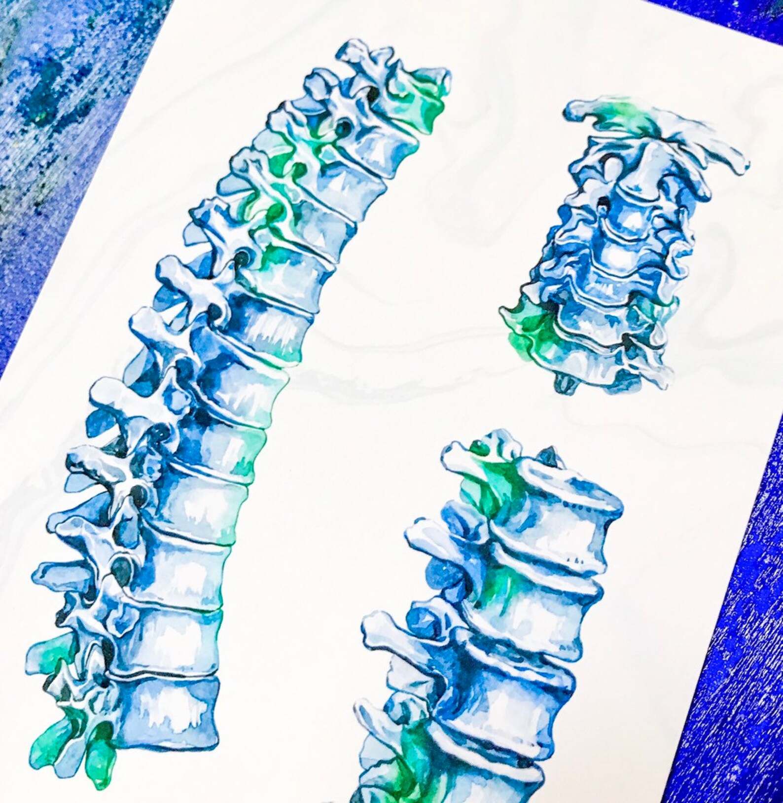 Chiropractic Posters Gifts for Chiropractors Ortho Art Etsy